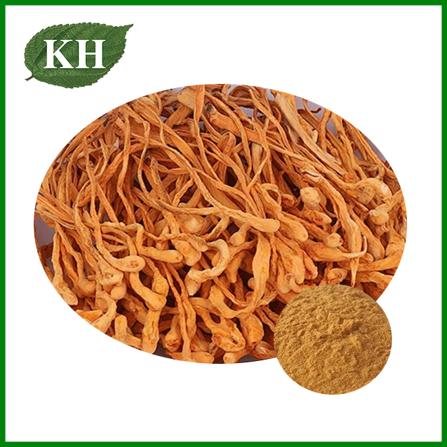 Cordyceps Militaris Mushroom Extract